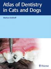 Atlas of Dentistry in Cats and Dogs