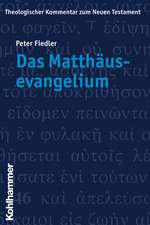 Das Matthausevangelium: Grundlagen Von Belastung, Bewaltigung Und Ressourcen