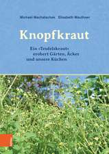 Das Knopfkraut