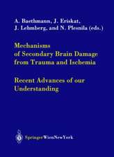 Mechanisms of Secondary Brain Damage from Trauma and Ischemia: Recent Advances of our Understanding