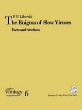 The Enigma of Slow Viruses: Facts and Artefacts