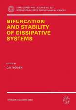 Bifurcation and Stability of Dissipative Systems