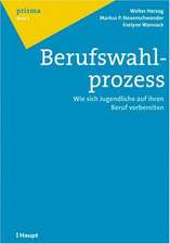 Berufswahlprozess