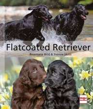 Flatcoated Retriever