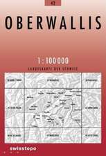 Swisstopo 1 : 100 000 Oberwallis