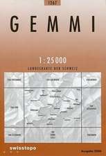 1267 Gemmi