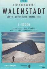 Swisstopo 1 : 50 000 Walenstadt Ski