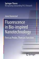 Fluorescence in Bio-inspired Nanotechnology: First as Probe, Then as Function