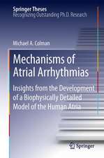 Mechanisms of Atrial Arrhythmias: Insights from the Development of a Biophysically Detailed Model of the Human Atria