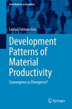 Development Patterns of Material Productivity: Convergence or Divergence?