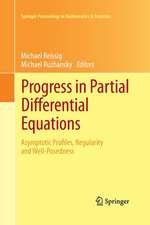 Progress in Partial Differential Equations: Asymptotic Profiles, Regularity and Well-Posedness