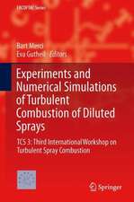 Experiments and Numerical Simulations of Turbulent Combustion of Diluted Sprays: TCS 3: Third International Workshop on Turbulent Spray Combustion