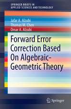 Forward Error Correction Based On Algebraic-Geometric Theory