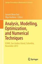 Analysis, Modelling, Optimization, and Numerical Techniques