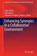 Enhancing Synergies in a Collaborative Environment