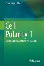 Cell Polarity 1: Biological Role and Basic Mechanisms