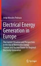 Electrical Energy Generation in Europe: The Current Situation and Perspectives in the Use of Renewable Energy Sources and Nuclear Power for Regional Electricity Generation