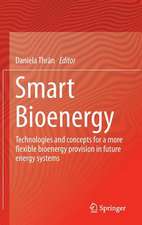 Smart Bioenergy: Technologies and concepts for a more flexible bioenergy provision in future energy systems