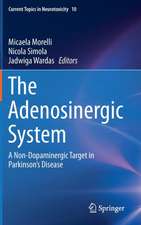 The Adenosinergic System: A Non-Dopaminergic Target in Parkinson’s Disease