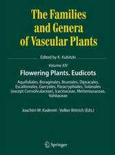 Flowering Plants. Eudicots: Aquifoliales, Boraginales, Bruniales, Dipsacales, Escalloniales, Garryales, Paracryphiales, Solanales (except Convolvulaceae), Icacinaceae, Metteniusaceae, Vahliaceae