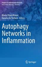 Autophagy Networks in Inflammation