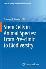 Stem Cells in Animal Species: From Pre-clinic to Biodiversity