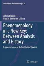 Phenomenology in a New Key: Between Analysis and History: Essays in Honor of Richard Cobb-Stevens