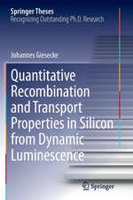 Quantitative Recombination and Transport Properties in Silicon from Dynamic Luminescence