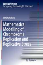 Mathematical Modelling of Chromosome Replication and Replicative Stress