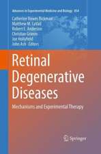 Retinal Degenerative Diseases: Mechanisms and Experimental Therapy