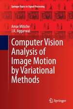 Computer Vision Analysis of Image Motion by Variational Methods