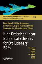 High Order Nonlinear Numerical Schemes for Evolutionary PDEs: Proceedings of the European Workshop HONOM 2013, Bordeaux, France, March 18-22, 2013