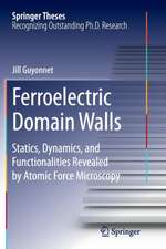 Ferroelectric Domain Walls: Statics, Dynamics, and Functionalities Revealed by Atomic Force Microscopy