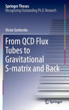 From QCD Flux Tubes to Gravitational S-matrix and Back