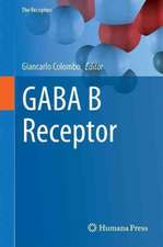 GABAB Receptor