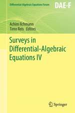 Surveys in Differential-Algebraic Equations IV