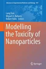 Modelling the Toxicity of Nanoparticles