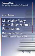 Metastable Glassy States Under External Perturbations: Monitoring the Effects of Compression and Shear-strain