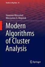 Modern Algorithms of Cluster Analysis