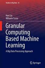 Granular Computing Based Machine Learning: A Big Data Processing Approach