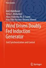 Wind Driven Doubly Fed Induction Generator: Grid Synchronization and Control