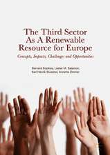 The Third Sector as a Renewable Resource for Europe: Concepts, Impacts, Challenges and Opportunities