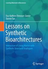 Lessons on Synthetic Bioarchitectures: Interaction of Living Matter with Synthetic Structural Analogues