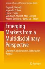 Emerging Markets from a Multidisciplinary Perspective: Challenges, Opportunities and Research Agenda