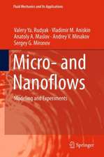 Micro- and Nanoflows: Modeling and Experiments