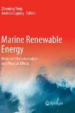 Marine Renewable Energy: Resource Characterization and Physical Effects