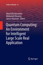 Quantum Computing:An Environment for Intelligent Large Scale Real Application