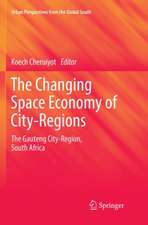 The Changing Space Economy of City-Regions: The Gauteng City-Region, South Africa