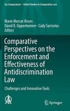 Comparative Perspectives on the Enforcement and Effectiveness of Antidiscrimination Law: Challenges and Innovative Tools