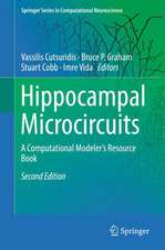 Hippocampal Microcircuits